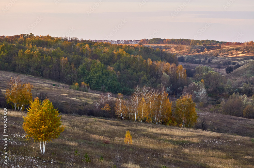 Fototapeta premium A view from Ostritsa Mountain on the territory of the Kopachevsky Slopes landscape reserve. Historical place. Autumn in nature.