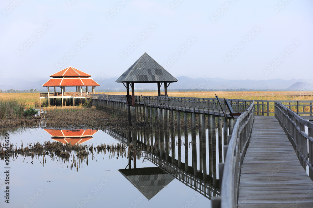 wooden bridge walk way and Pavilion , footpath in Lotus pound for Nature education at Bueng Bua, Phetchaburi Province , Thailand