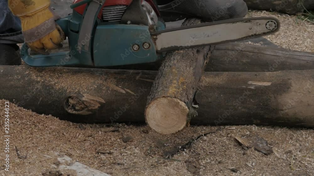 Lumberman using chainsaw sawing dry wood lying on ground. slow motion Lumberman using chainsaw sawing dry wood lying on ground. slow motion