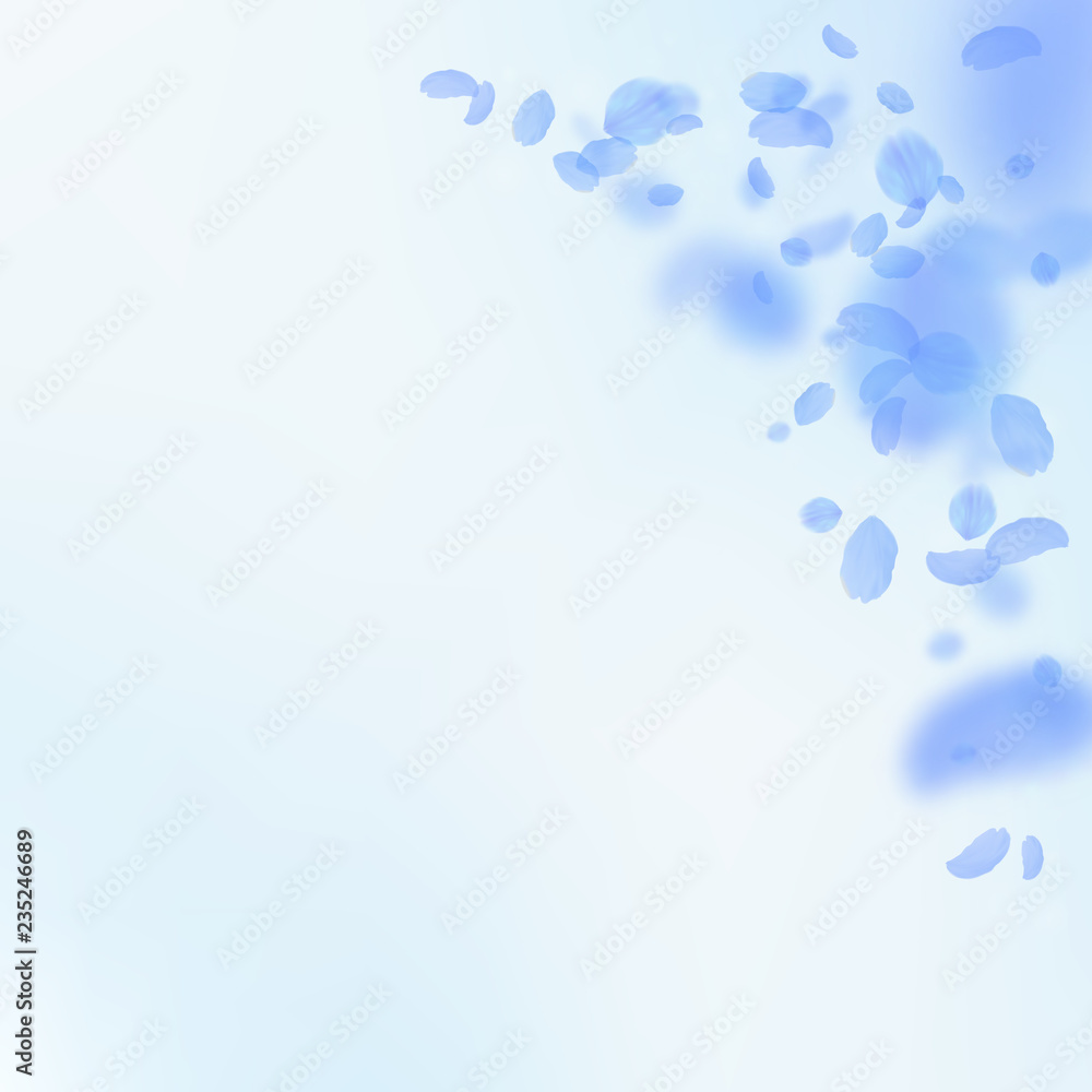 Dark blue flower petals falling down. Classic roma Dark blue flower petals falling down. Classic roma