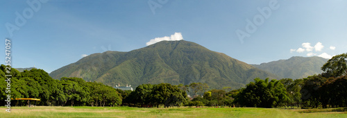 View of the iconic Caracas mountain el Avila or Waraira Repano from the East Park or Parque del Este.