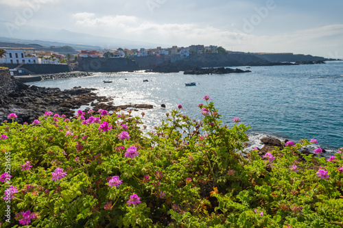 Coastline in the small fishing village of Alcala. Tenerife. Canary Islands..Spain