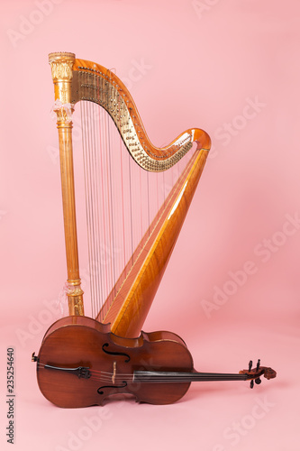 Canvas-taulu harp and cello