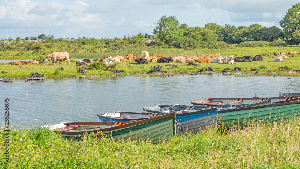 Obraz premium Boats Near Annaghkeen Pier in Ireland