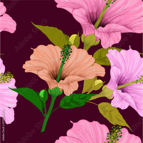 Vector. Hibiscus - flowers and buds. Seamless background pattern. Perfume and cosmetic plants. Wallpaper. Decorative composition. Use printed materials, signs, posters, postcards, packaging.