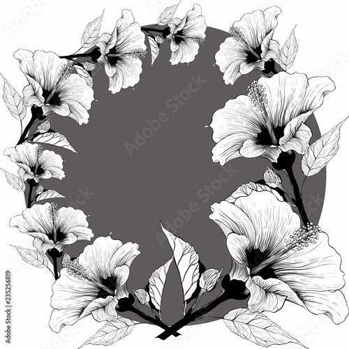 Vector. Hibiscus - flowers and buds. Background pattern. Perfume and cosmetic plants. Wallpaper. Decorative composition. Use printed materials, signs, posters, postcards, packaging.