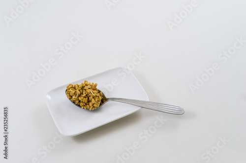 Soaked fenugreek seed photo