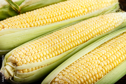 raw sweet corn close up