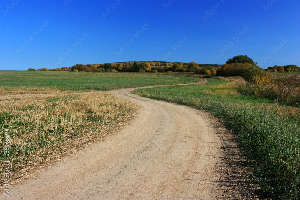 Country dirt road in the field Country dirt road in the field