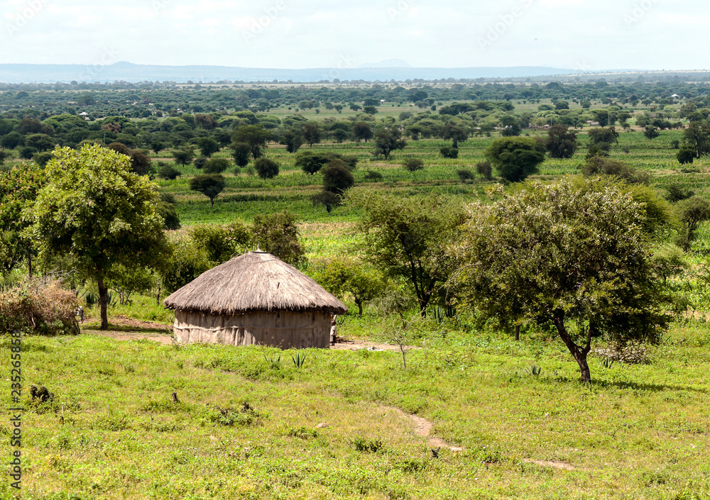 Lodge in the savannah of Tanzania Lodge in the savannah of Tanzania