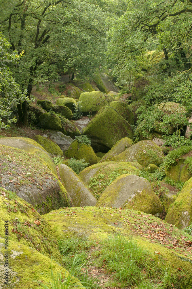 Flowing river in the forest. Huelgoat Brittany France Flowing river in the forest. Huelgoat Brittany France
