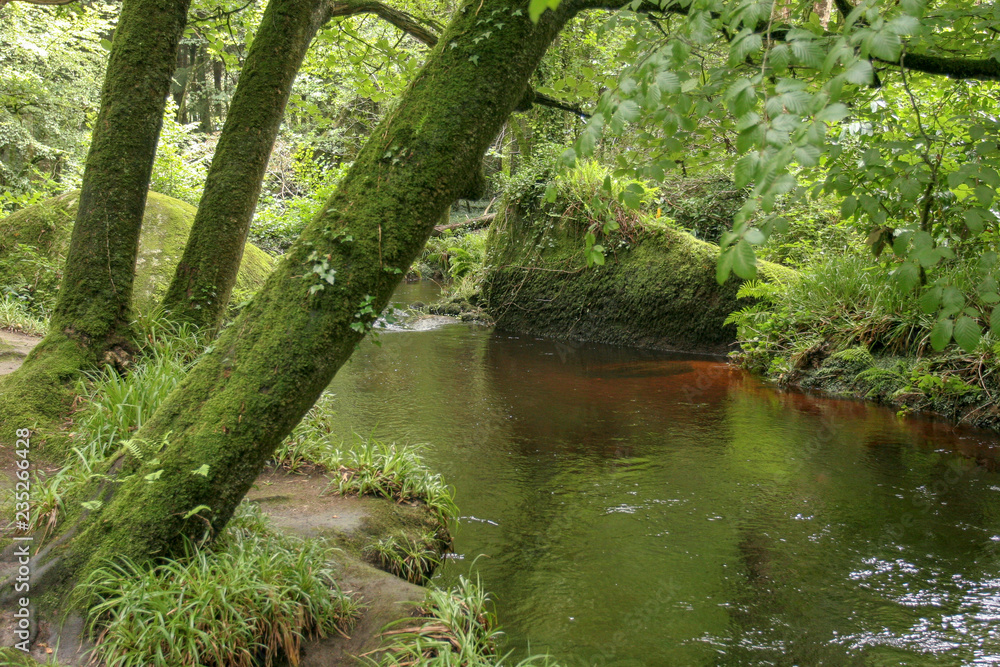 Flowing river in the forest. Huelgoat Brittany France Flowing river in the forest. Huelgoat Brittany France