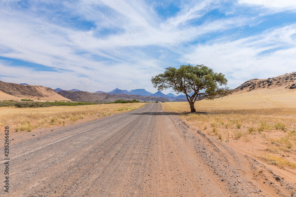Adventurous road trip through a amazing landscape in Damaraland, Namibia.