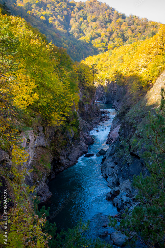 Fall landscape with mountain river and forest Fall landscape with mountain river and forest