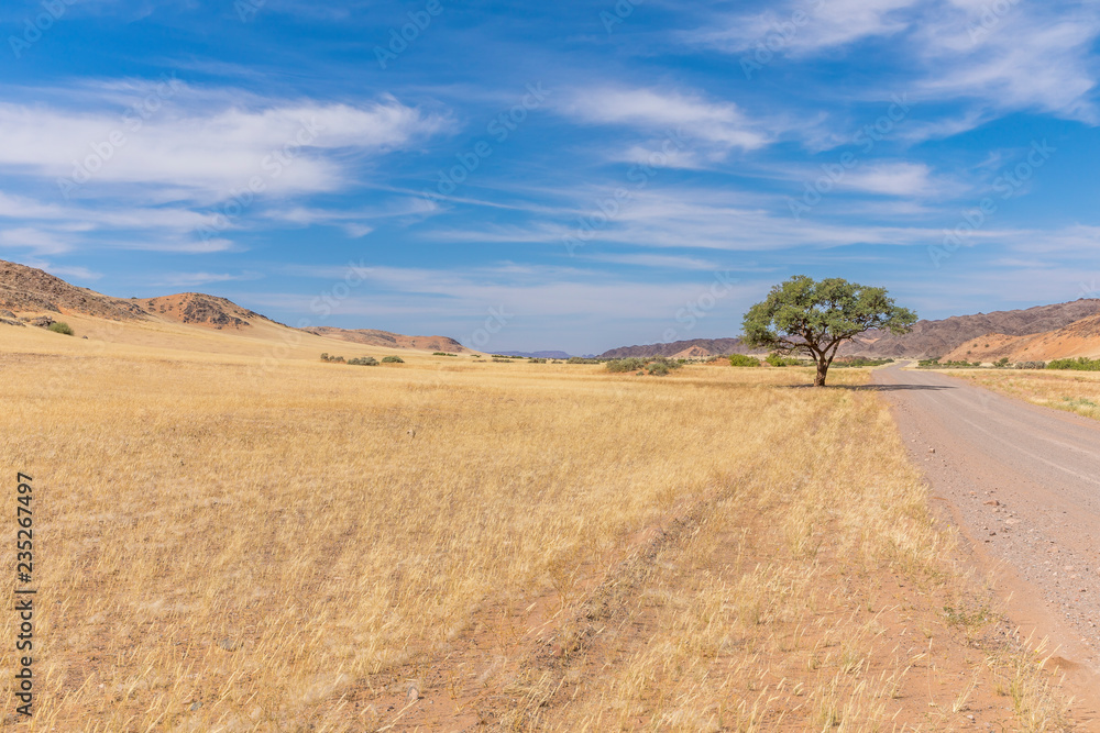 Majestic landscape in Damaraland, Namibia.