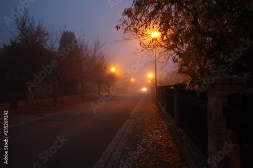 morning autumn city street in the fog