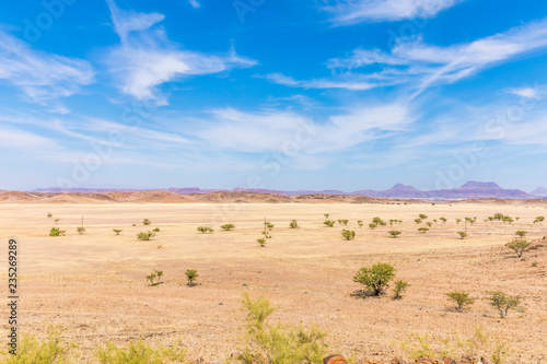 Amazing view over a plain field near Twijfelfontein  Damaraland  Namibia.