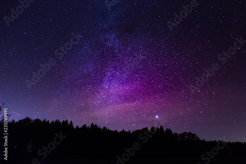 beautiful milky way over the forest