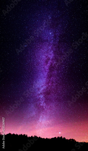 Bild auf Leinwand milky way over the forest, high contrast