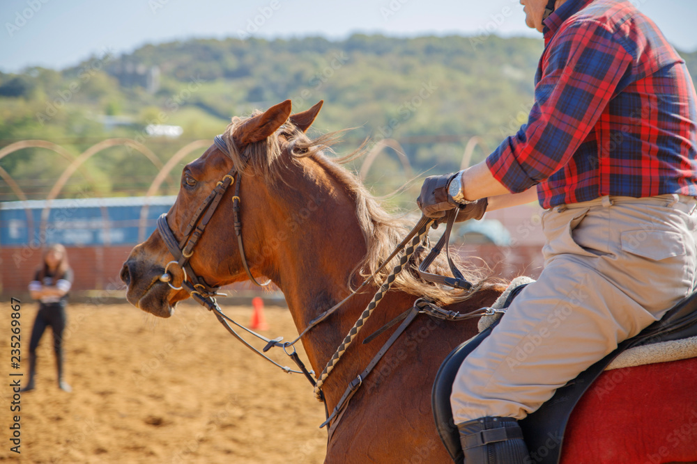 Obraz premium horse riding training