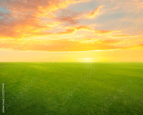 field landscape with grass and sun