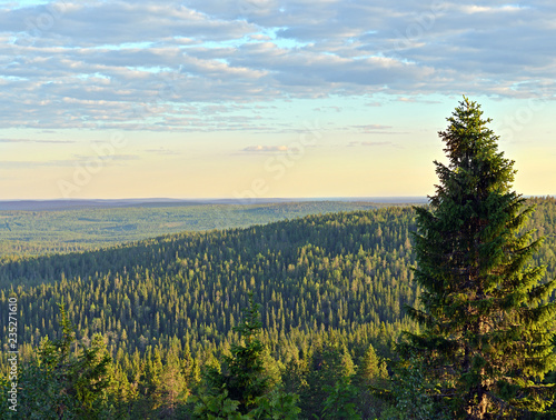 Sunset in hills of Finnish Lapland in summer