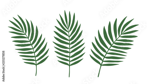 Vector Leave. Silhouette