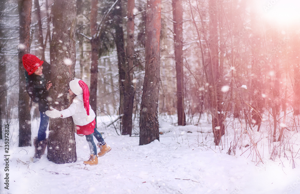 A winter fairy tale in the forest. 