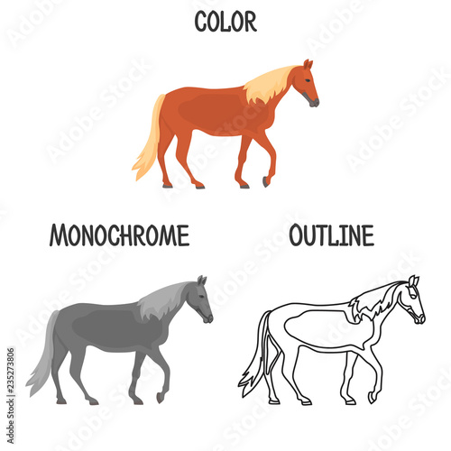 Horse breed in color, monochrome and outline design color flat icon