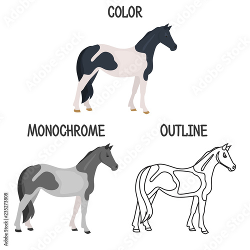 Horse breed in color, monochrome and outline design color flat icon