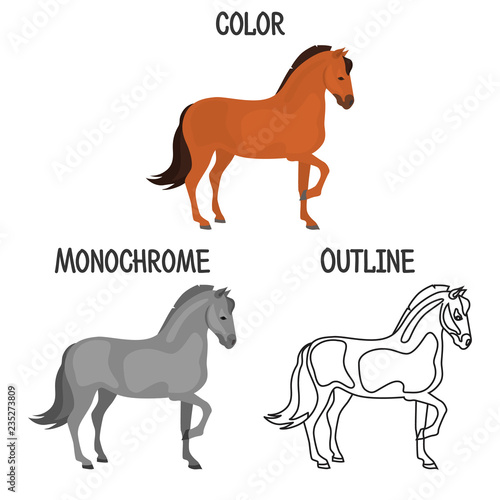 Horse breed in color, monochrome and outline design color flat icon