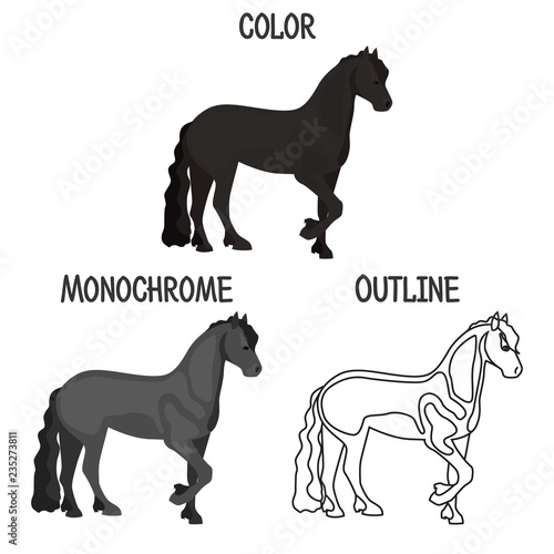 Horse breed in color, monochrome and outline design color flat icon