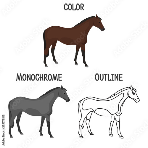 Horse breed in color, monochrome and outline design color flat icon