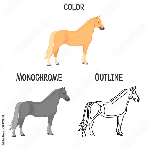 Horse breed in color, monochrome and outline design color flat icon