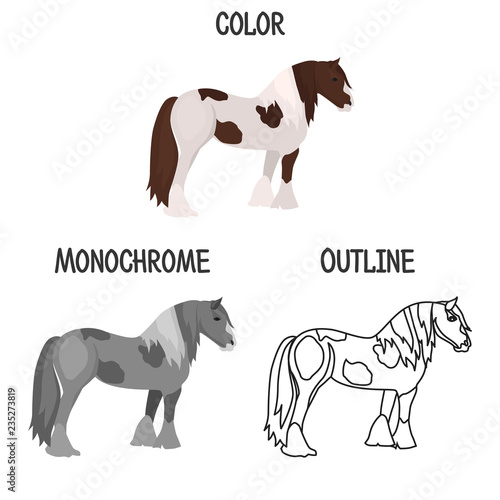 Horse breed in color, monochrome and outline design color flat icon