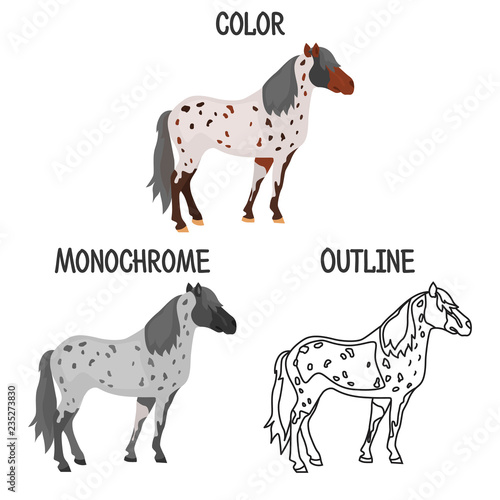 Horse breed in color, monochrome and outline design color flat icon