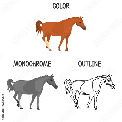 Horse breed in color, monochrome and outline design color flat icon