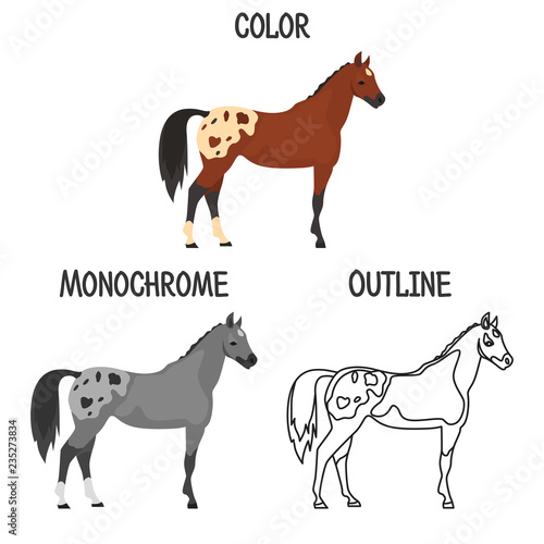 Horse breed in color, monochrome and outline design color flat icon