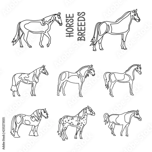Horse breeds outline icons set