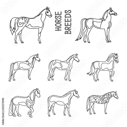 Horse breeds outline icons set