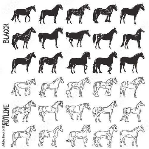 Horse breeds black and outline icons set
