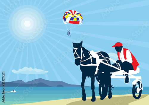 Sporting a horse-drawn cart. Silhouette of an athlete on the cart driving a horse.