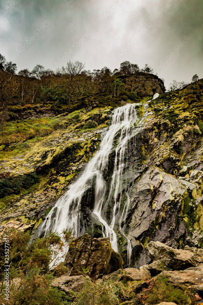 Powerscourt waterfall in forest