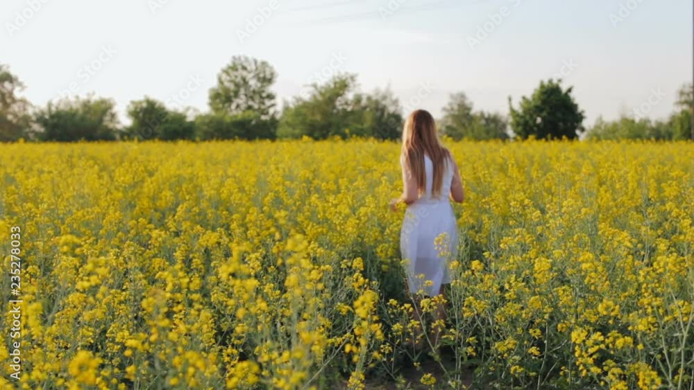 Girl in a white dress on a flower field Girl in a white dress on a flower field