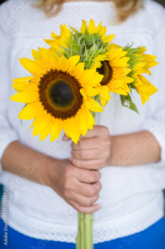Fototapeta Naklejka Na Ścianę i Meble -  Closeup of the hands of a young woman holding large beautiful sunflowers. Holiday concept
