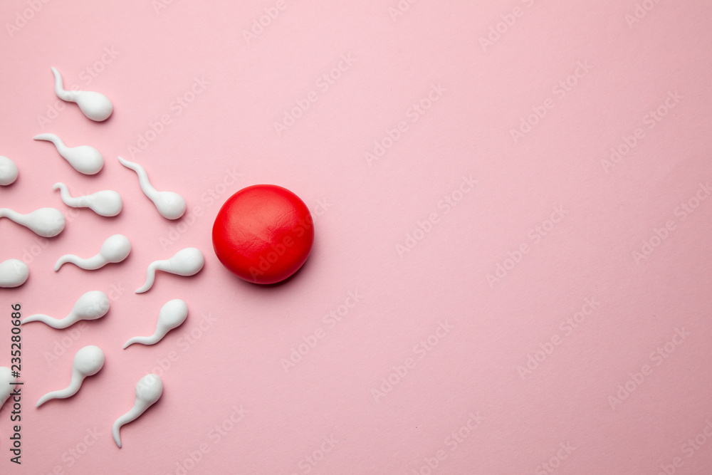 Active sperm cells swim to the egg on a pink background. The concept of pregnancy, fertilization of the egg. Copy space for text - obrazy, fototapety, plakaty 