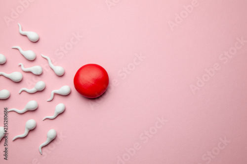 Картината върху платно Active sperm cells swim to the egg on a pink background