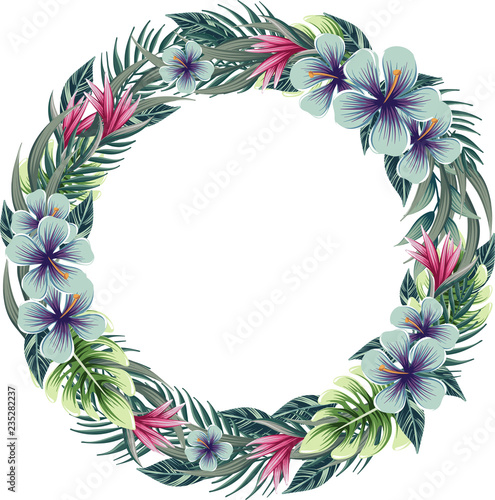 vector drawings of round wreath with tropical plants, floral frame