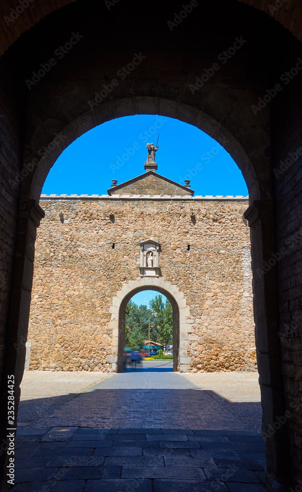Naklejka premium Toledo Puerta de bisagra door in Spain