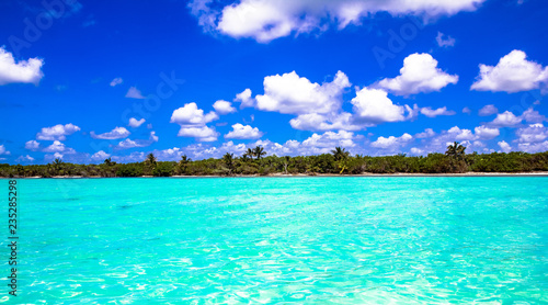 Fototapeta Naklejka Na Ścianę i Meble -  Karibik mit strahlendem blauen Himmel und türkisem Meer in Yucatan, Mexiko